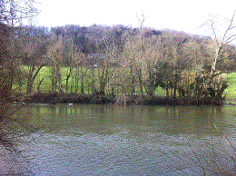 PEG 41 Pictures